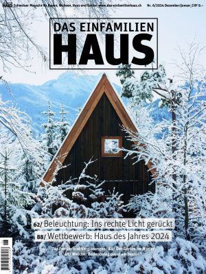 DAS EINFAMILIEN HAUS Nr. 6 / Dezember 2024